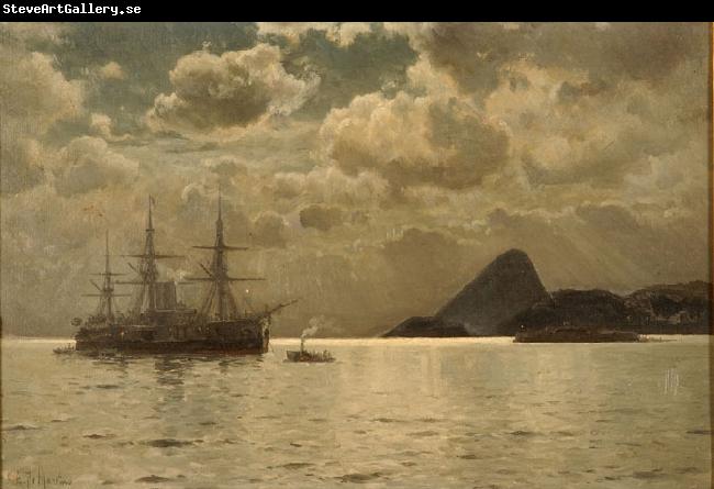 Eduardo de Martino Night View of Rio de Janeiro